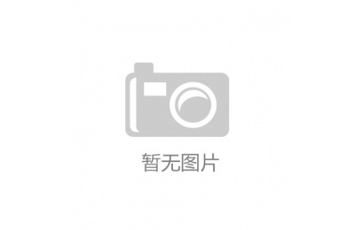 山东：创新引领数智化发展新图景